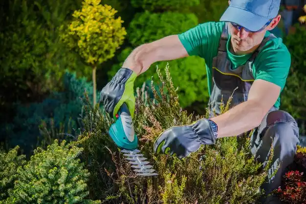 landscaping services Crystal Lake Park
